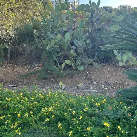 Vacanze In A Sud Sardegna *