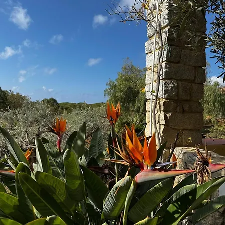 Holiday home Vacanze In A Sud Sardegna *