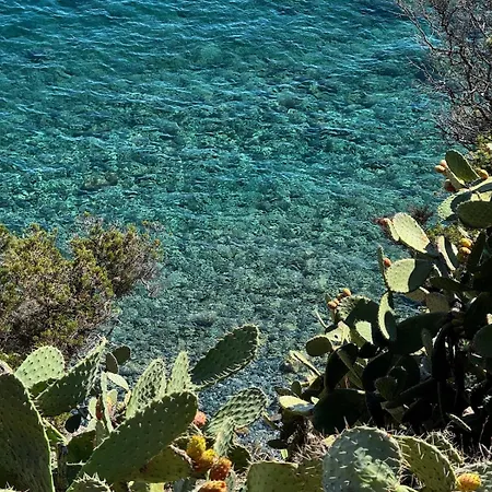 Vacanze In A Sud Sardegna