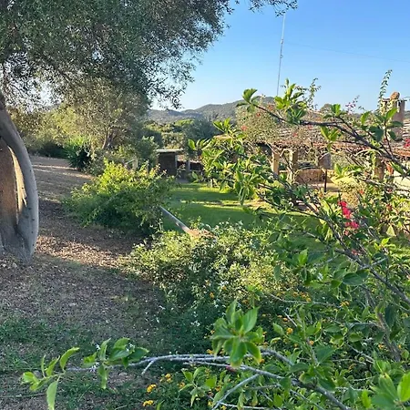 Vacanze In A Sud Sardegna