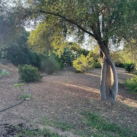 Vacanze In A Sud Sardegna Holiday home Simius