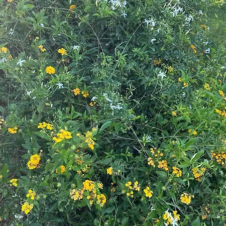 Vacanze In A Sud Sardegna Holiday home Simius