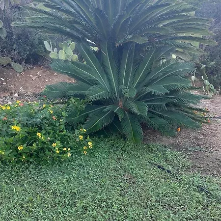 Vacanze In A Sud Sardegna Holiday home *